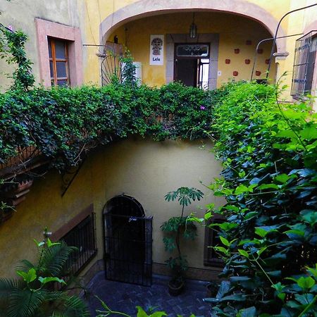 Lele Panchito Y Lavanda Juntos En El Centro Querétaro Extérieur photo