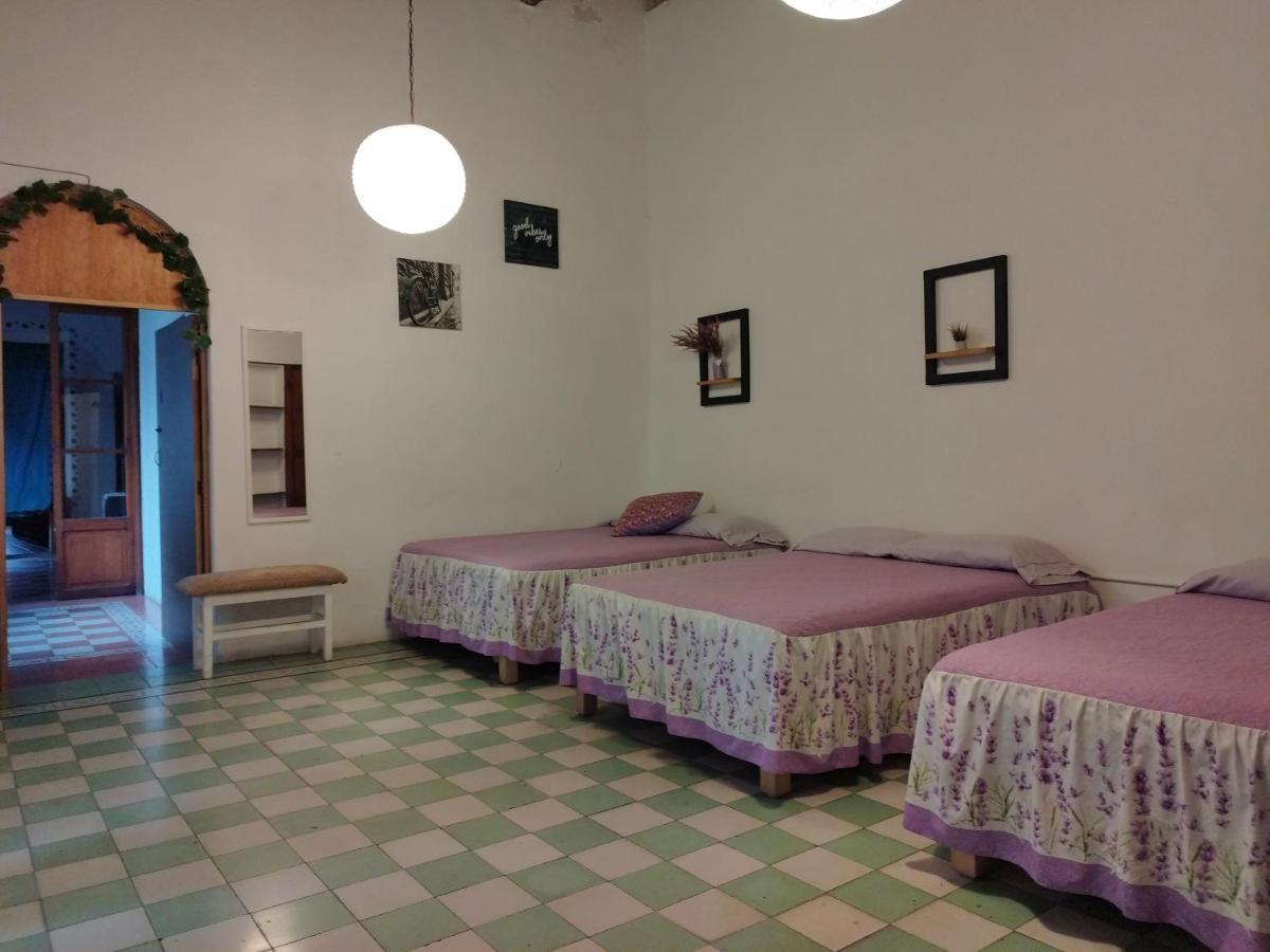 Lele Panchito Y Lavanda Juntos En El Centro Querétaro Extérieur photo