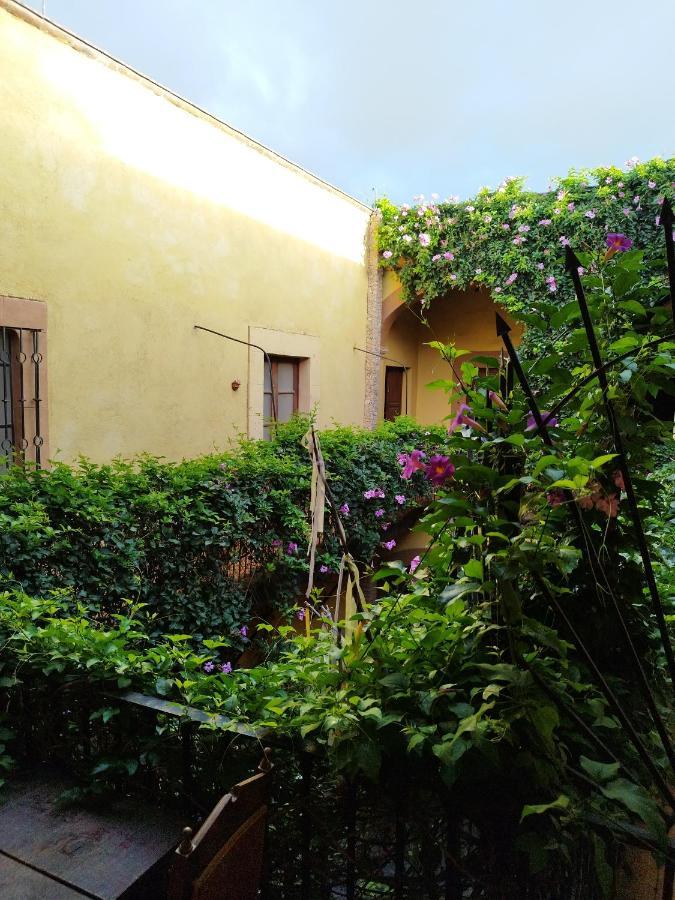 Lele Panchito Y Lavanda Juntos En El Centro Querétaro Extérieur photo