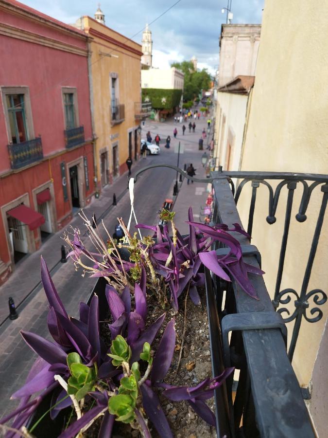 Lele Panchito Y Lavanda Juntos En El Centro Querétaro Extérieur photo