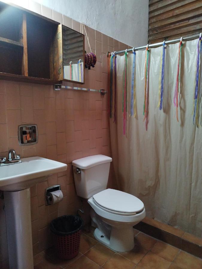 Lele Panchito Y Lavanda Juntos En El Centro Querétaro Extérieur photo