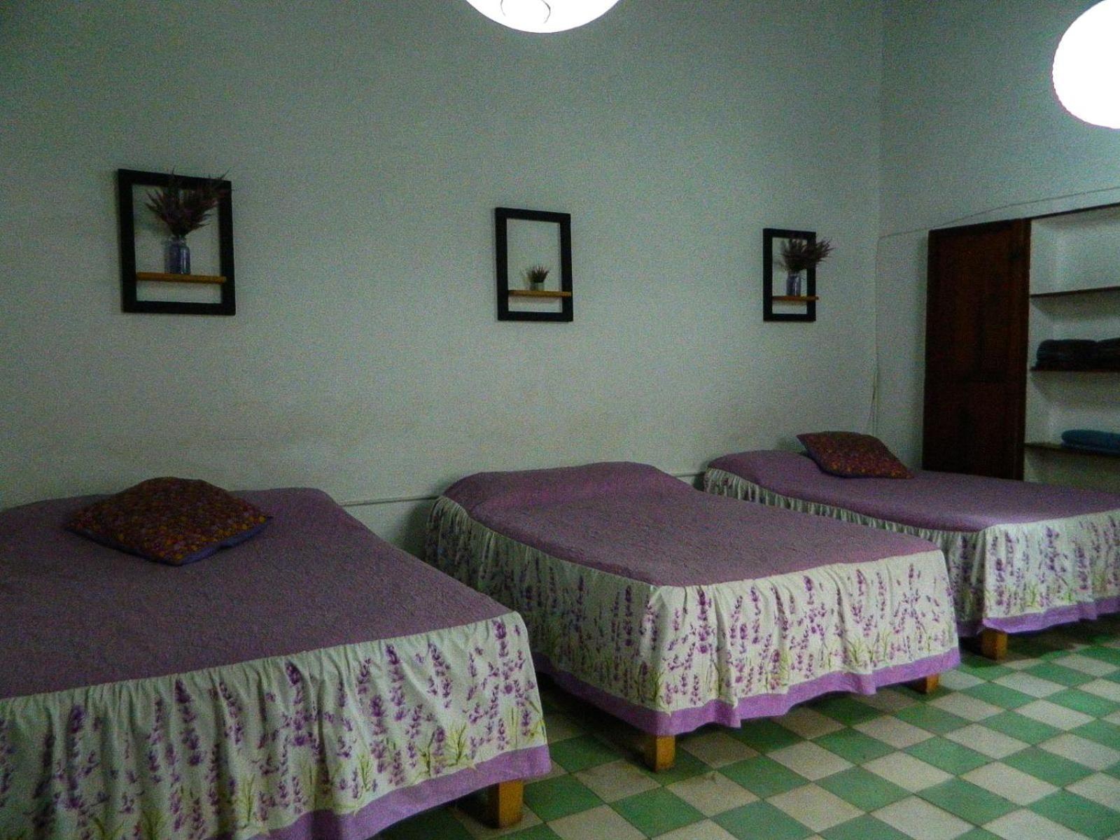 Lele Panchito Y Lavanda Juntos En El Centro Querétaro Extérieur photo