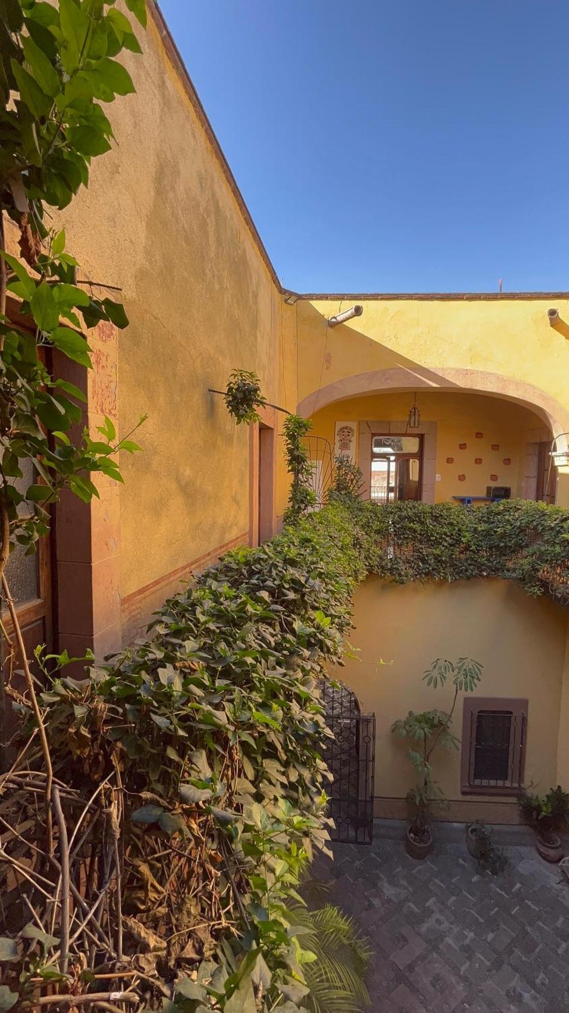 Lele Panchito Y Lavanda Juntos En El Centro Querétaro Extérieur photo
